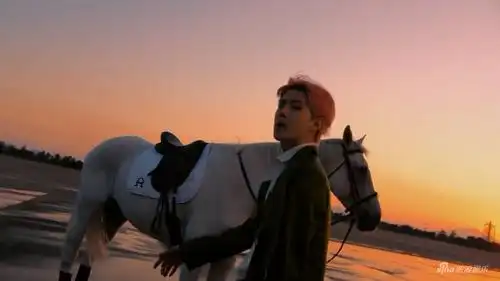 组图:吴世勋新mv绿衣粉发帅气 夕阳下骑白马似王子