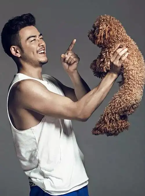 看欢乐颂好喜欢里面的杨烁!