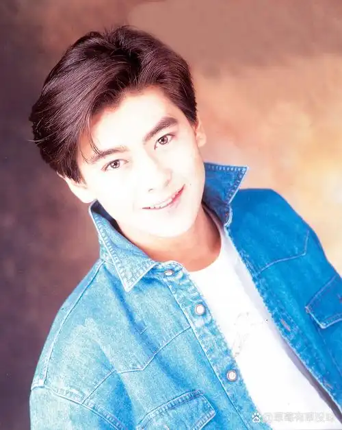 17岁的雨季——林志颖