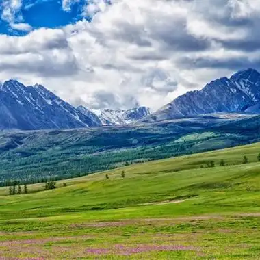 绿色草原风景图片大全唯美 蓝天绿地让人心情愉悦_风景头像_美头网