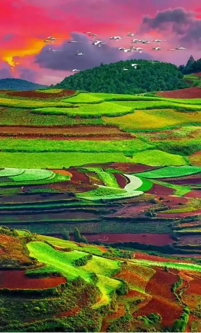 绿色养眼风景景壁纸美图