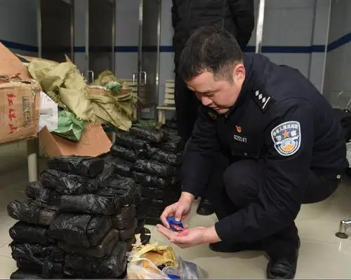 毒贩"变"菜贩运送麻果150公斤