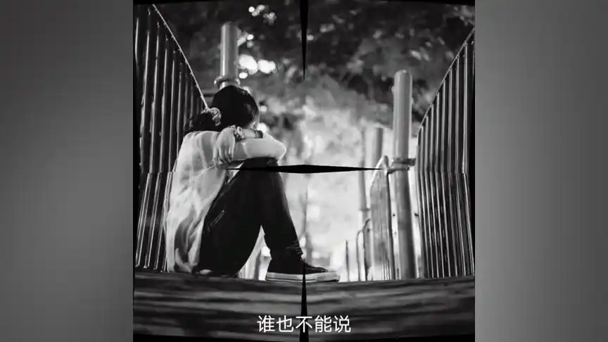 一个人默默承受了所有,檫干眼泪,生活还得继续#惊鸿文案 #生活