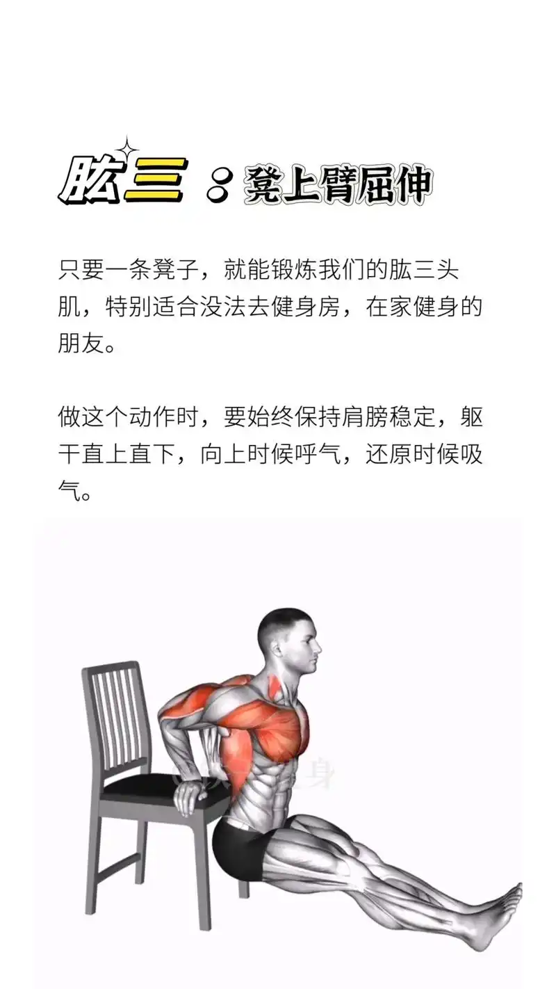 没空去健身房,在家如何徒手练出好身材?