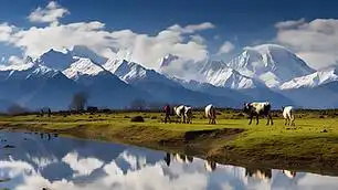 西藏旅游风景摄影图一群藏族牧民在高山草甸上放牧,远处的雪山映在