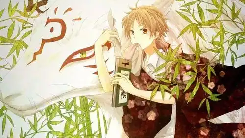 二,夏目贵志——《夏目友人帐》稻米说:每个人身上都有闪光点,即使它