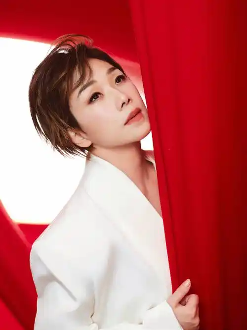 林忆莲唱响东方卫视跨年盛典 唤醒青春记忆与音乐共鸣