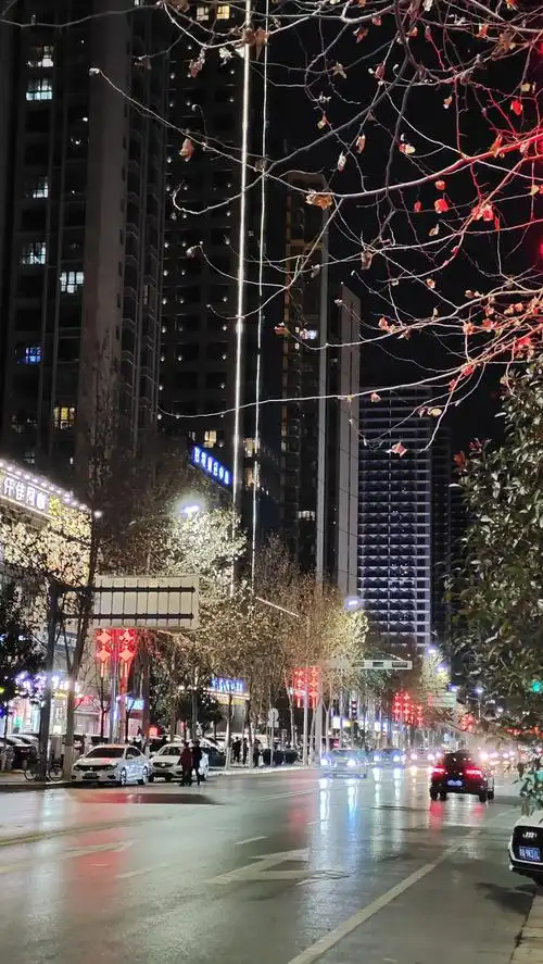 街道夜景随拍之一