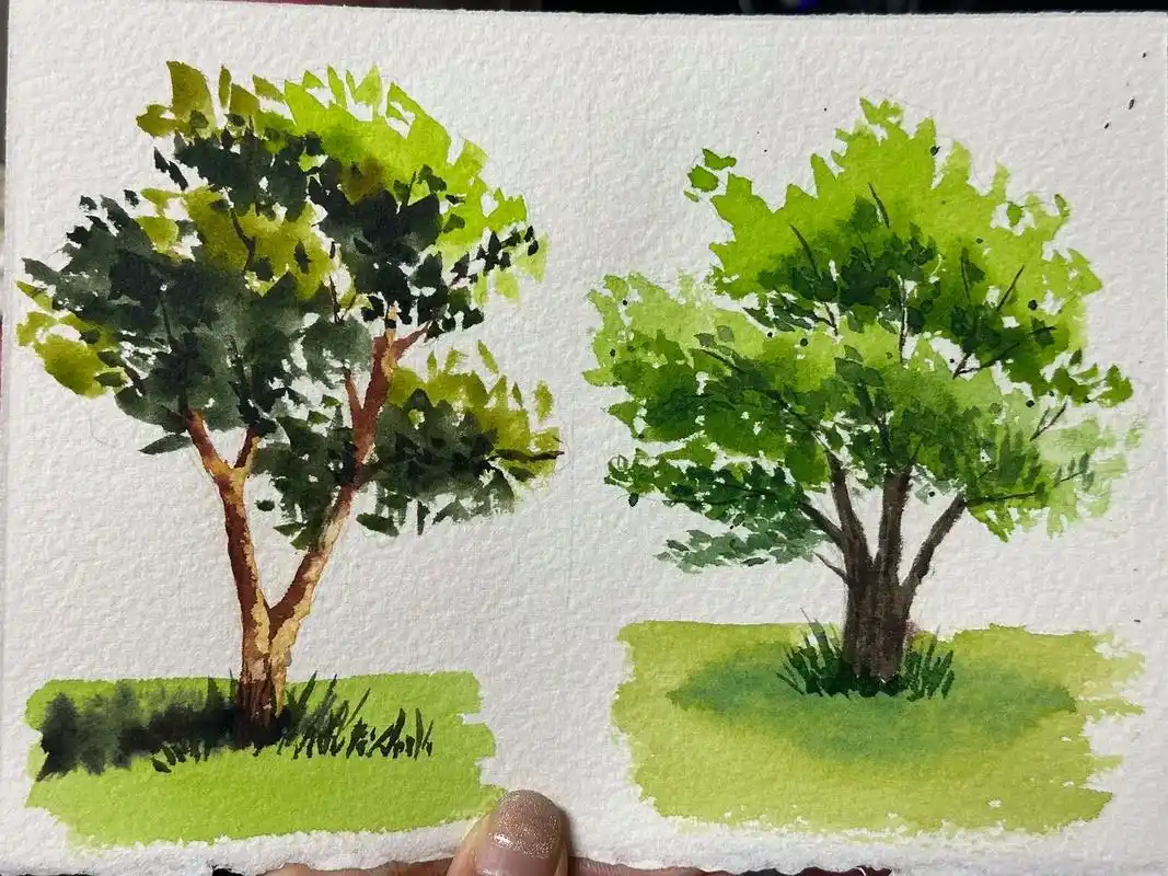 水彩树的画法.#水彩 #绘画过程分享 #带你走进画里 #风景 - 抖音