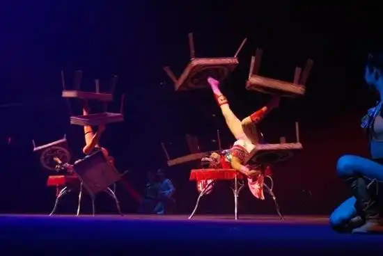 第五批国家级"非遗"代表性项目公示,重庆9项上榜!|蹬技|杂技_新浪新闻