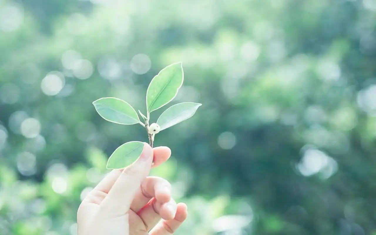 唯美文艺图片 时尚文艺小清新图片