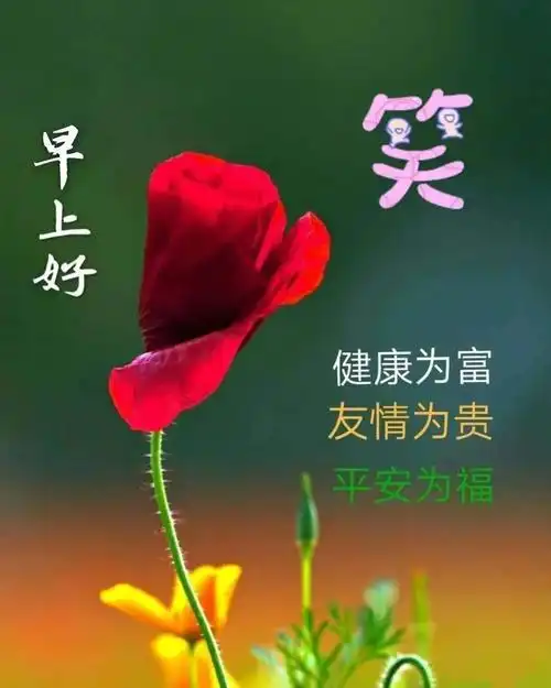 一声,早上好!醉暖心.(三)