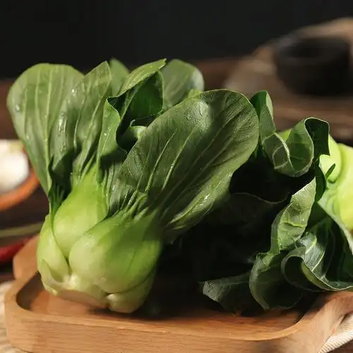 矮脚青菜300g蔬菜叶菜类
