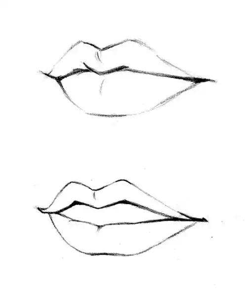 嘴唇线描练习