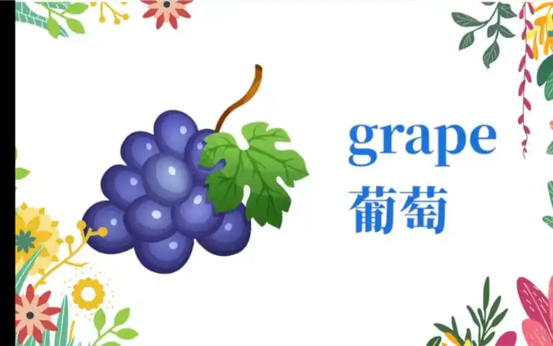 新的一年又开始啦,跟着猫与熊一起来学习葡萄的英文吧!