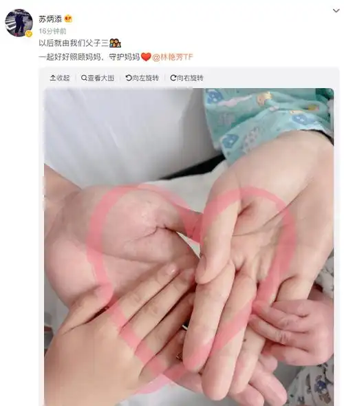 晒一家四口拉手照温馨甜蜜_林艳芳_妈妈_父子