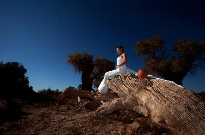 我不知道前世,是否曾站在菩提树下,千万次地凝眸