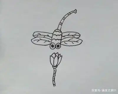 简笔画:教你如何画蜻蜓