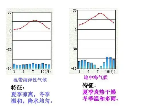 温带海洋性气候 地中海气候 特征: 夏季凉爽,冬季 温和,降水均匀