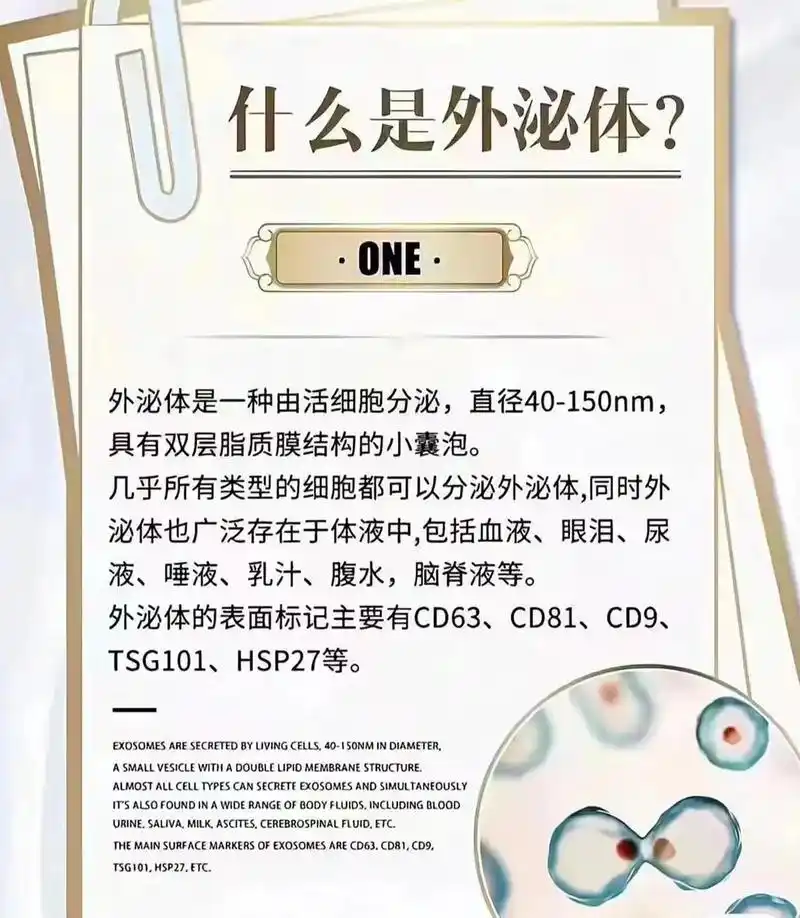 修复皮肤,增强肌肤屏障保护 肌肤屏障可以说是肌肤表面的"保护 - 抖音