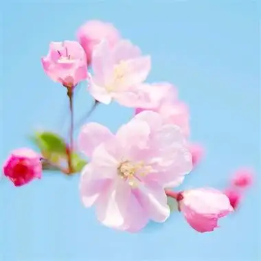 2023年最好运气头像 2023年最吉祥好运的微信头像图片_微信头像_头像