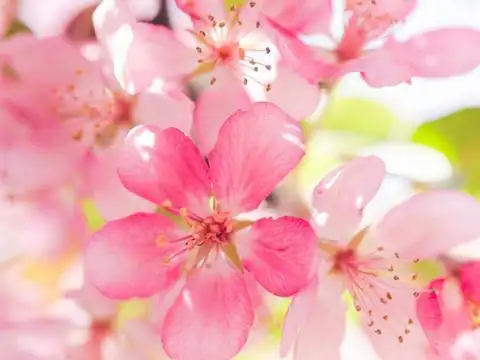 再熬三天,踩狗屎运,财运飙升,好运不断,富甲一方的4生肖!