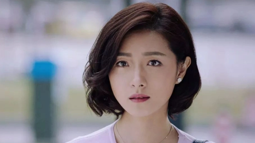 万茜演过哪些电视剧?