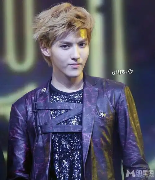 帅哥吴亦凡参加节目图片 吴亦凡帅气图片 吴亦凡真实现场图片(1)