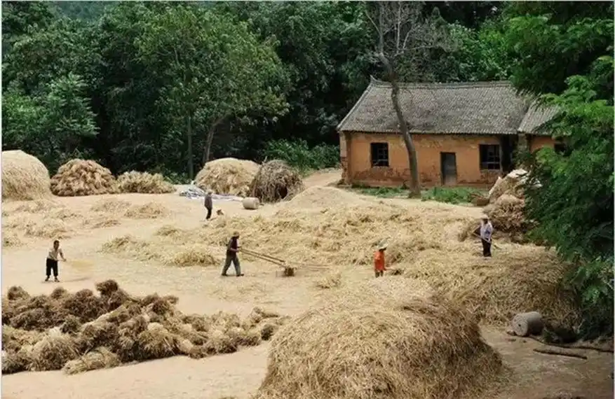 八十年代老照片,淳朴的人民,质朴的生活,第3张00见都没见过?