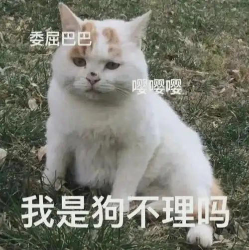 委屈巴巴嘤嘤嘤我是狗不理吗委屈巴巴狗不理表情