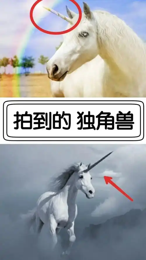 奇闻趣事抢先看#拍到的独角兽-度小视