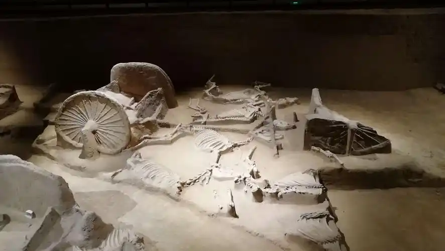 周王城天子驾六博物馆 - 美篇