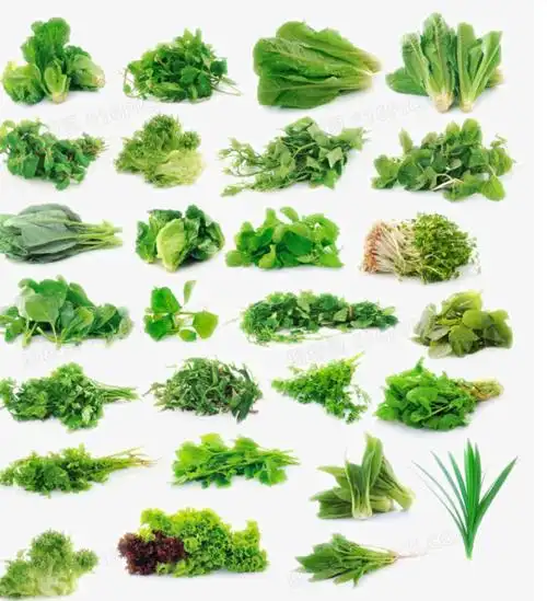 中国居民平衡膳食宝塔建议,每人每天蔬菜摄入量应保证在300~500克