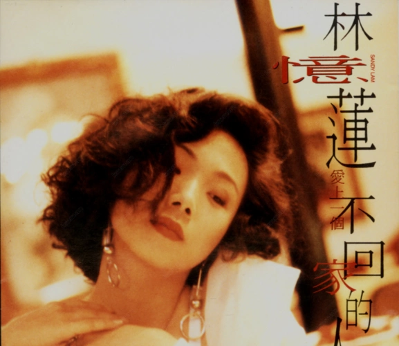 林忆莲《爱上一个不回家的人》1990/wav/整轨/百度