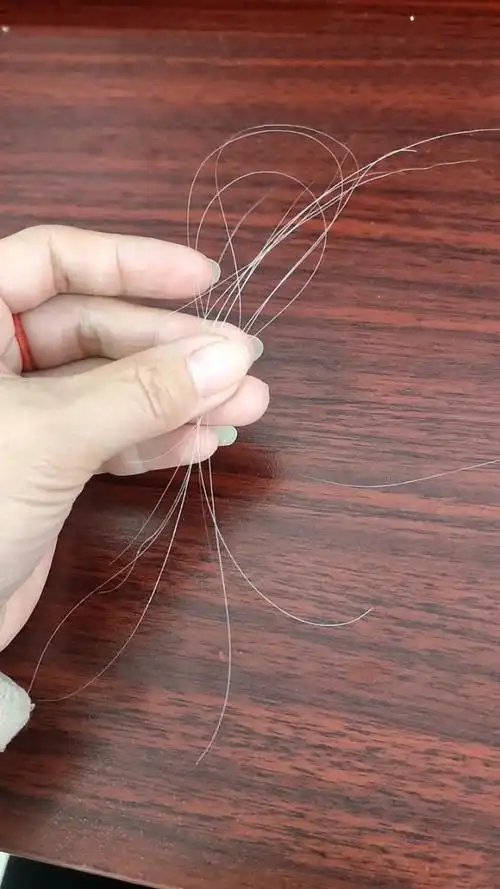 刚拽下来的,谁还没有几根白头发