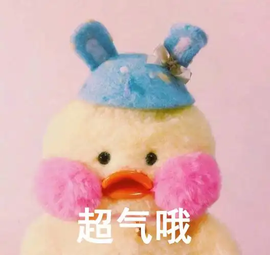 鹦鹉兄弟表情包史上最全版