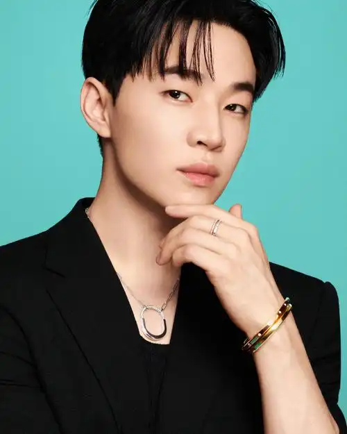 蒂芙尼品牌大使刘宪华