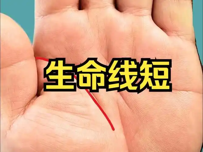 生命线短的掌纹