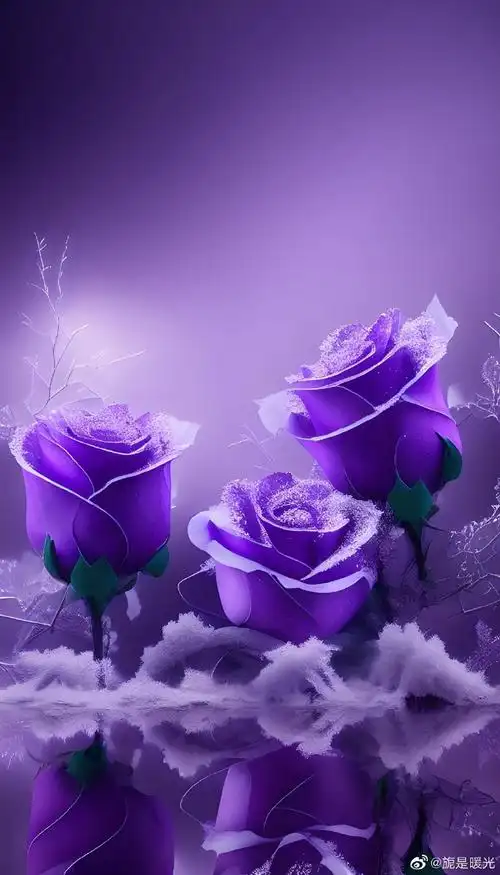 紫色可以多惊艳
