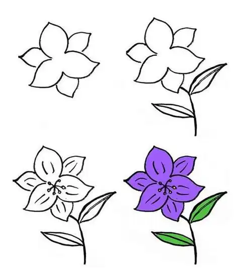 简笔画有花朵的花