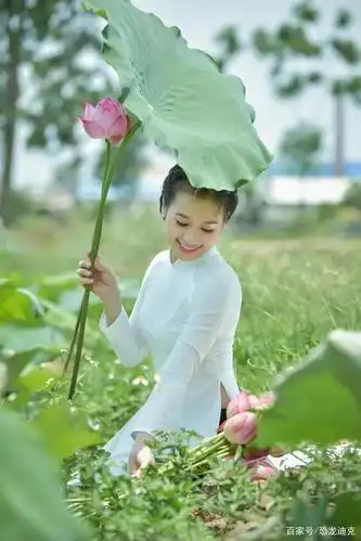 越南采莲女,身着奥黛,手捧莲花,清新淡雅很迷人