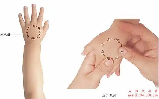 外八卦和内八卦相对,位于手掌背面,按摩时主要以运法为主,可以宽胸理