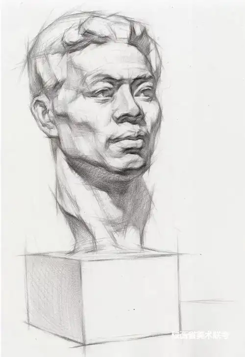 素描石膏像完整解析内附临摹稿石膏照片