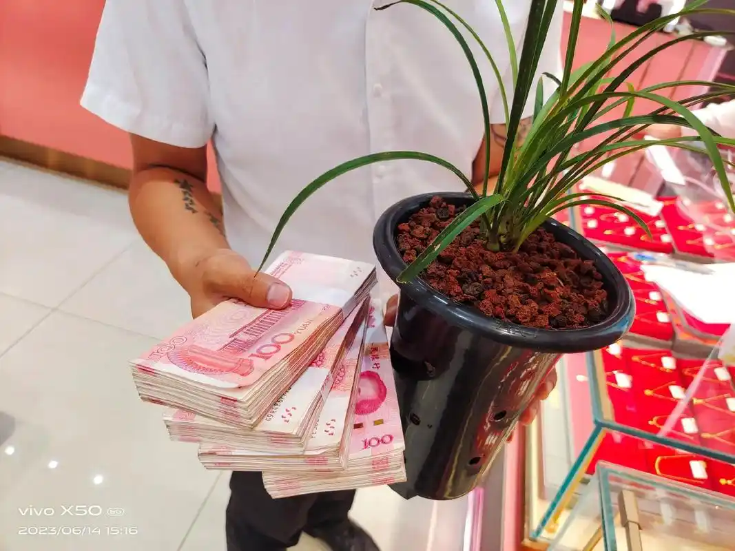 紧急收购各种兰花,有苗出的联系我.##花卉绿植 # - 抖音