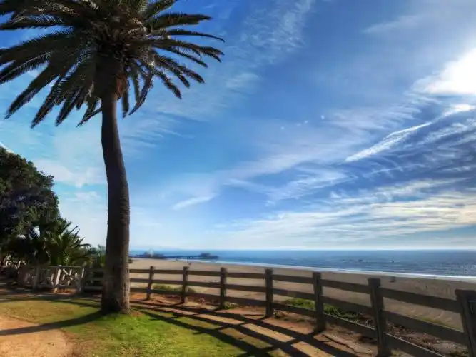 棕榈树,沙滩,围栏,海,阳光 壁纸