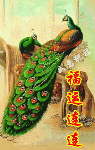 愿大家新的一年福运绵绵,吉祥如意