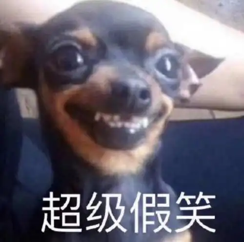 首页 狗狗秀 狗狗搞笑图片 正文 日期:2020-03-26    点击:3793