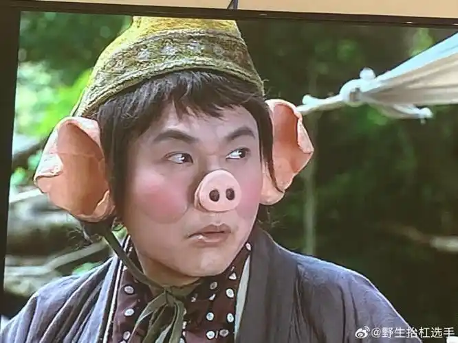 重温96张卫健版西游记,猪八戒脸上贴的这是乳贴吧