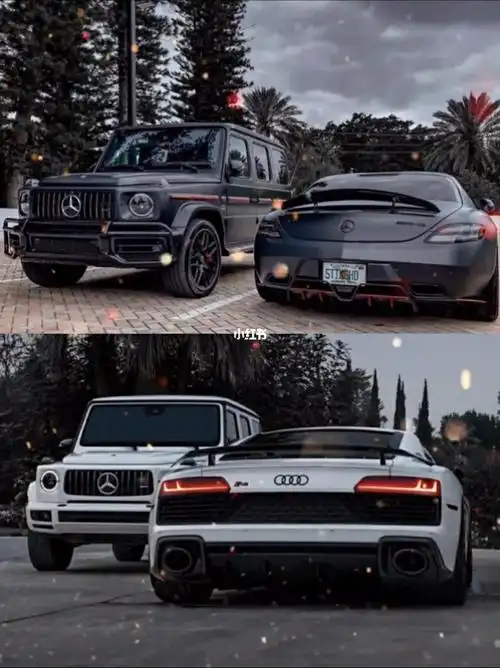 黑与白奥迪r8or大g