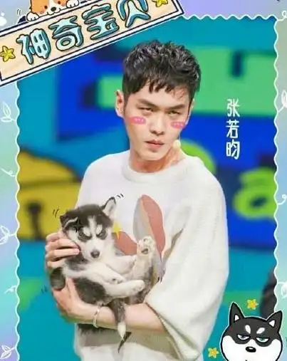 张若昀哈士奇是什么梗?张若昀为什么叫丑昀